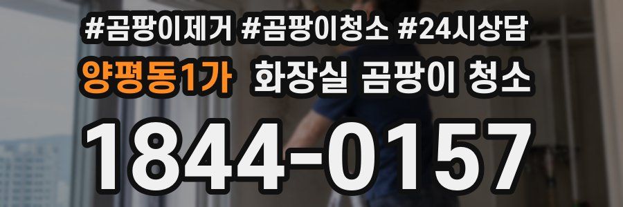 양평동1가 화장실 곰팡이 청소