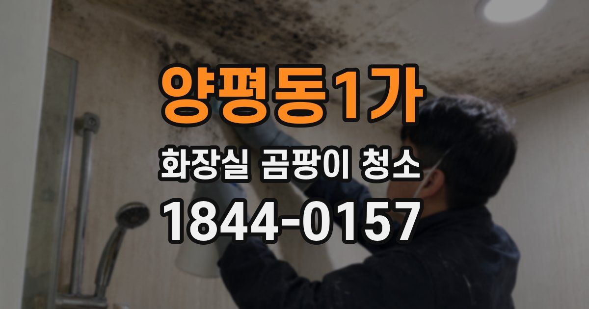 양평동1가 화장실 곰팡이 청소