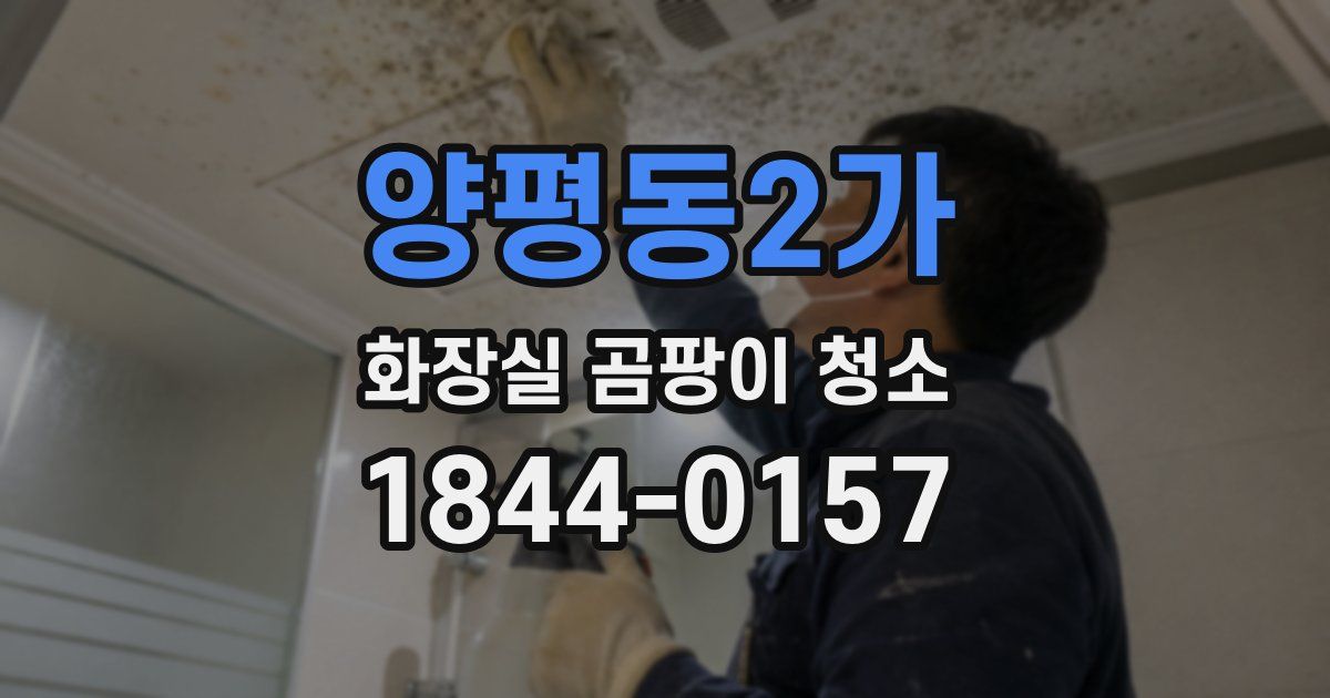 양평동2가 화장실 곰팡이 청소