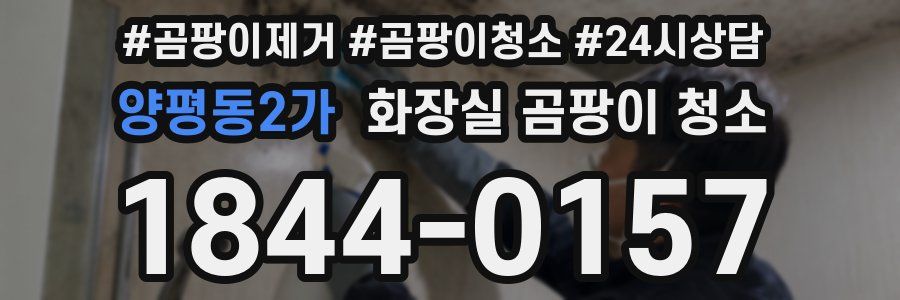양평동2가 화장실 곰팡이 청소