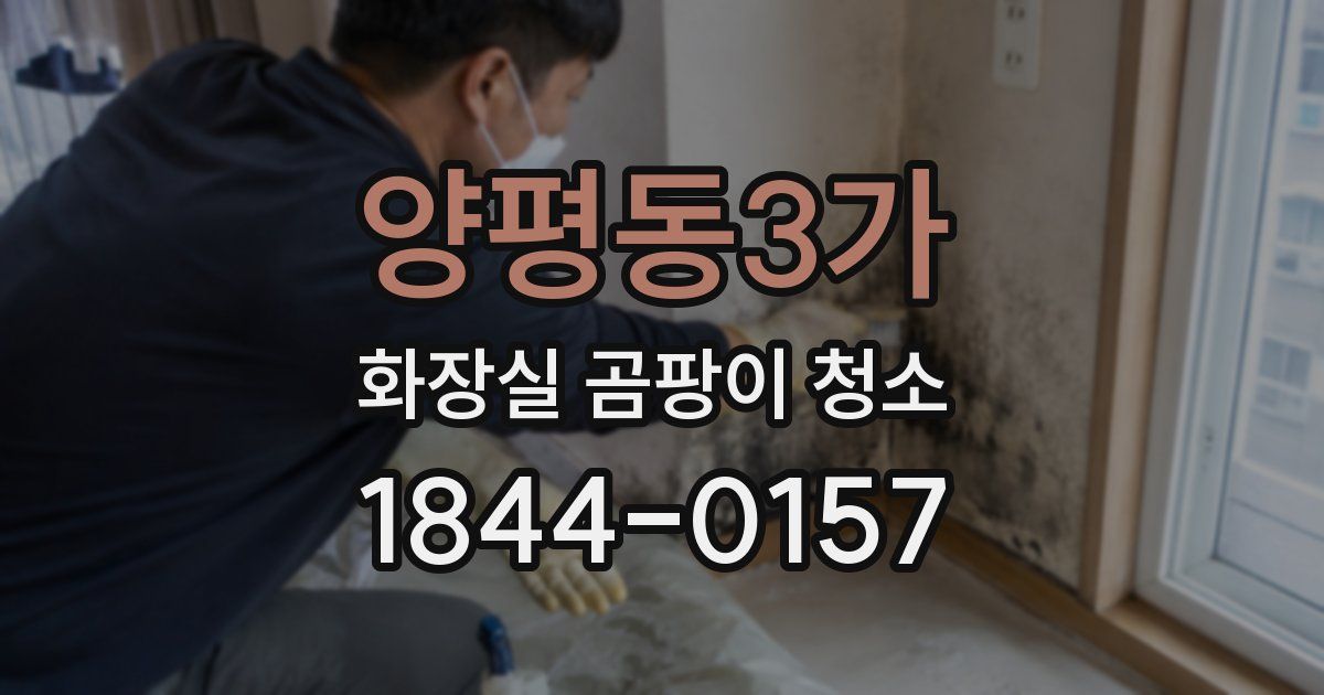 양평동3가 화장실 곰팡이 청소