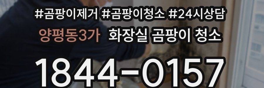 양평동3가 화장실 곰팡이 청소