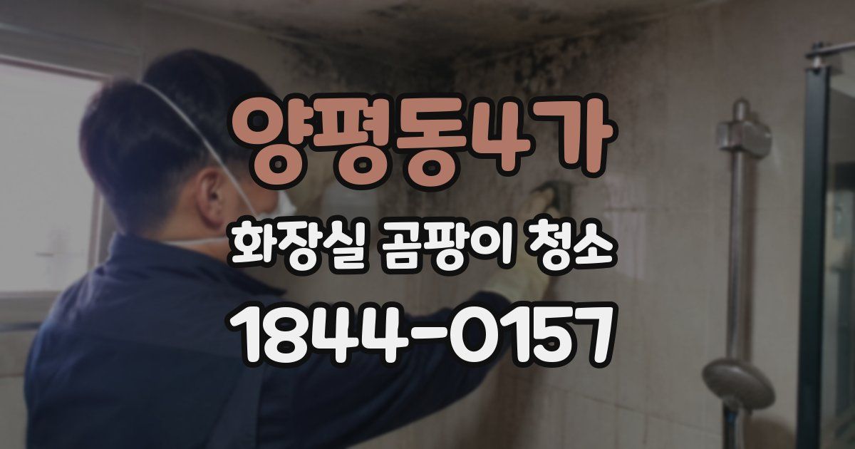 양평동4가 화장실 곰팡이 청소