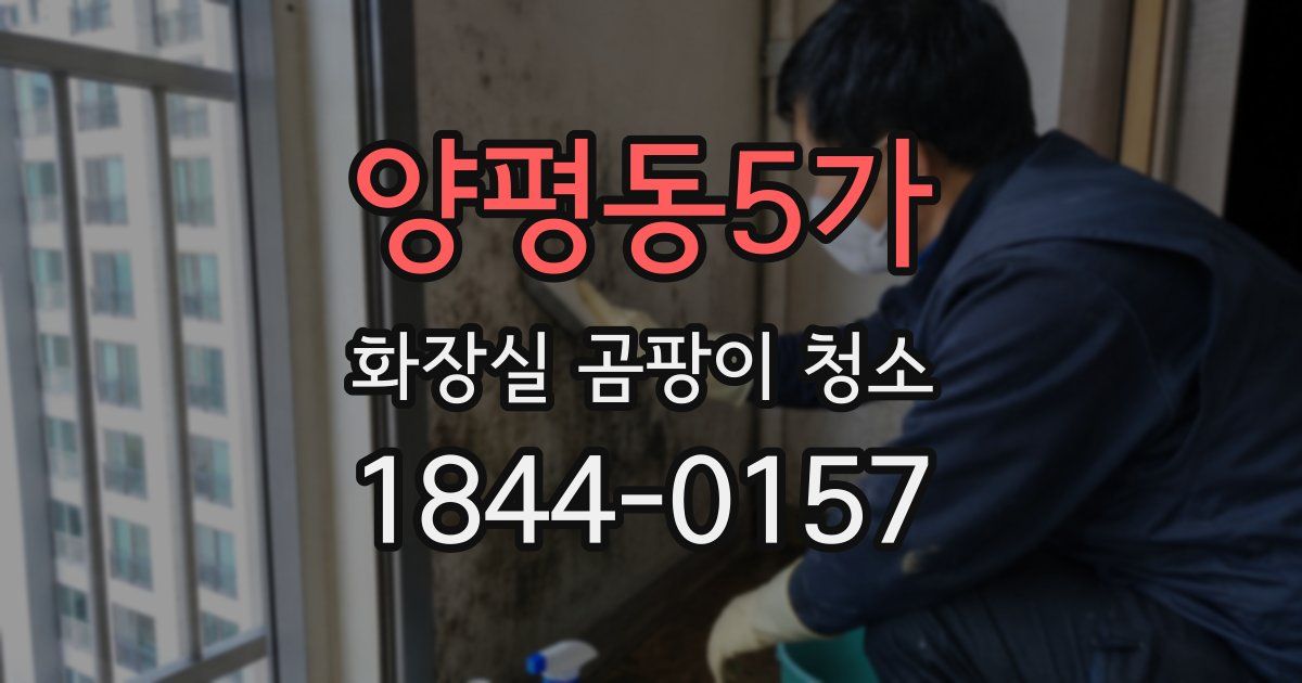 양평동5가 화장실 곰팡이 청소