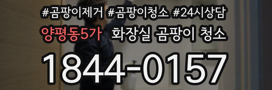 양평동5가 화장실 곰팡이 청소