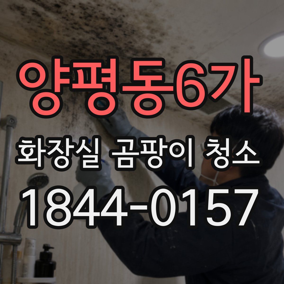 양평동6가 화장실 곰팡이 청소