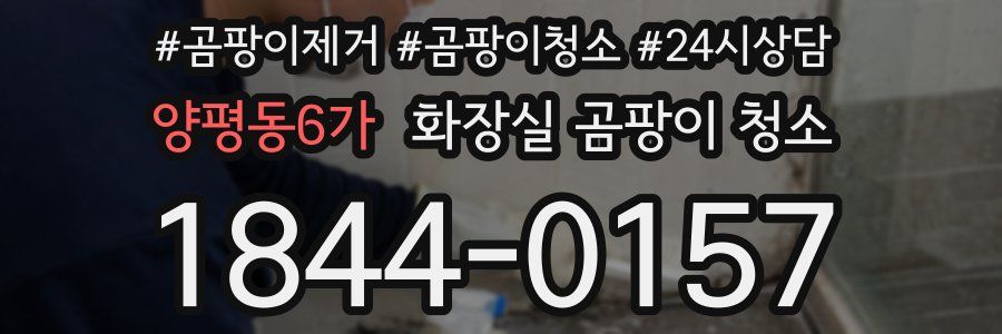 양평동6가 화장실 곰팡이 청소