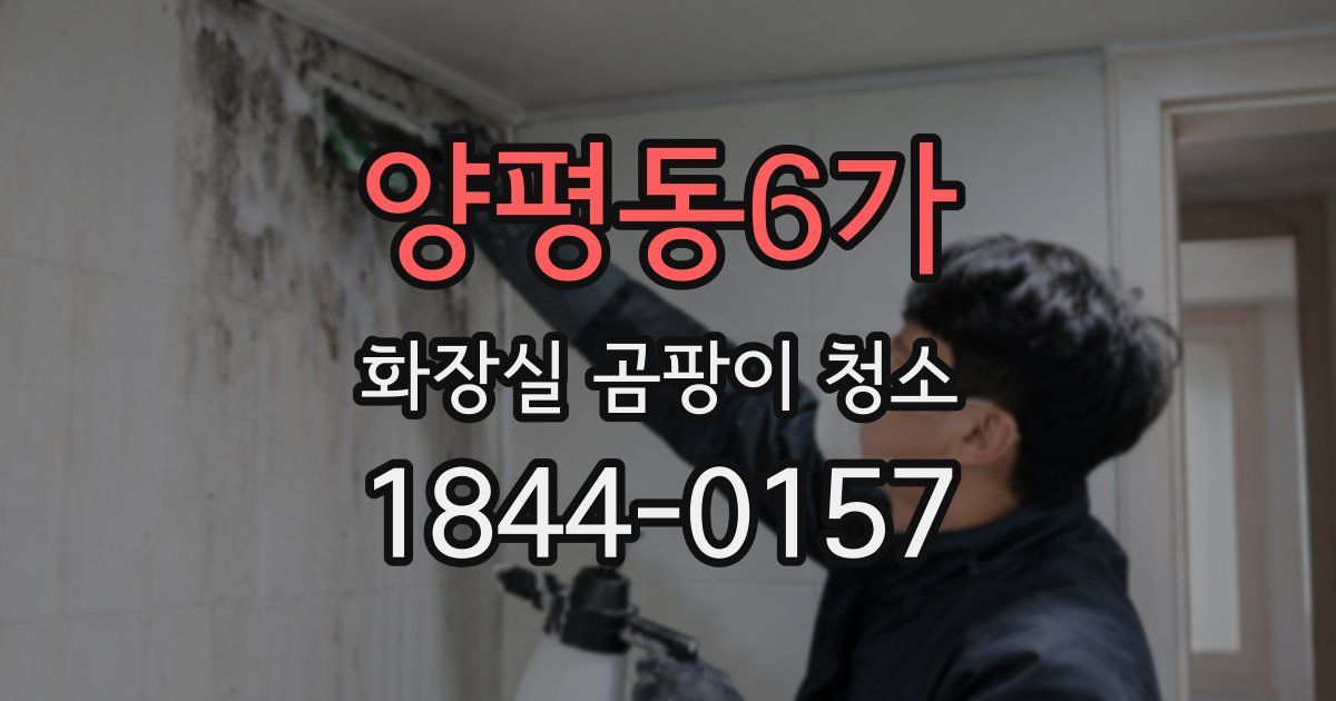 양평동6가 화장실 곰팡이 청소