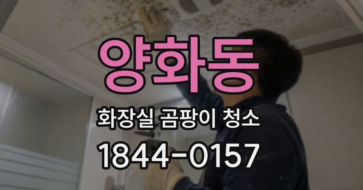 양화동 화장실 곰팡이 청소