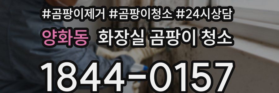 양화동 화장실 곰팡이 청소