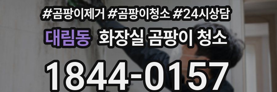 대림동 화장실 곰팡이 청소
