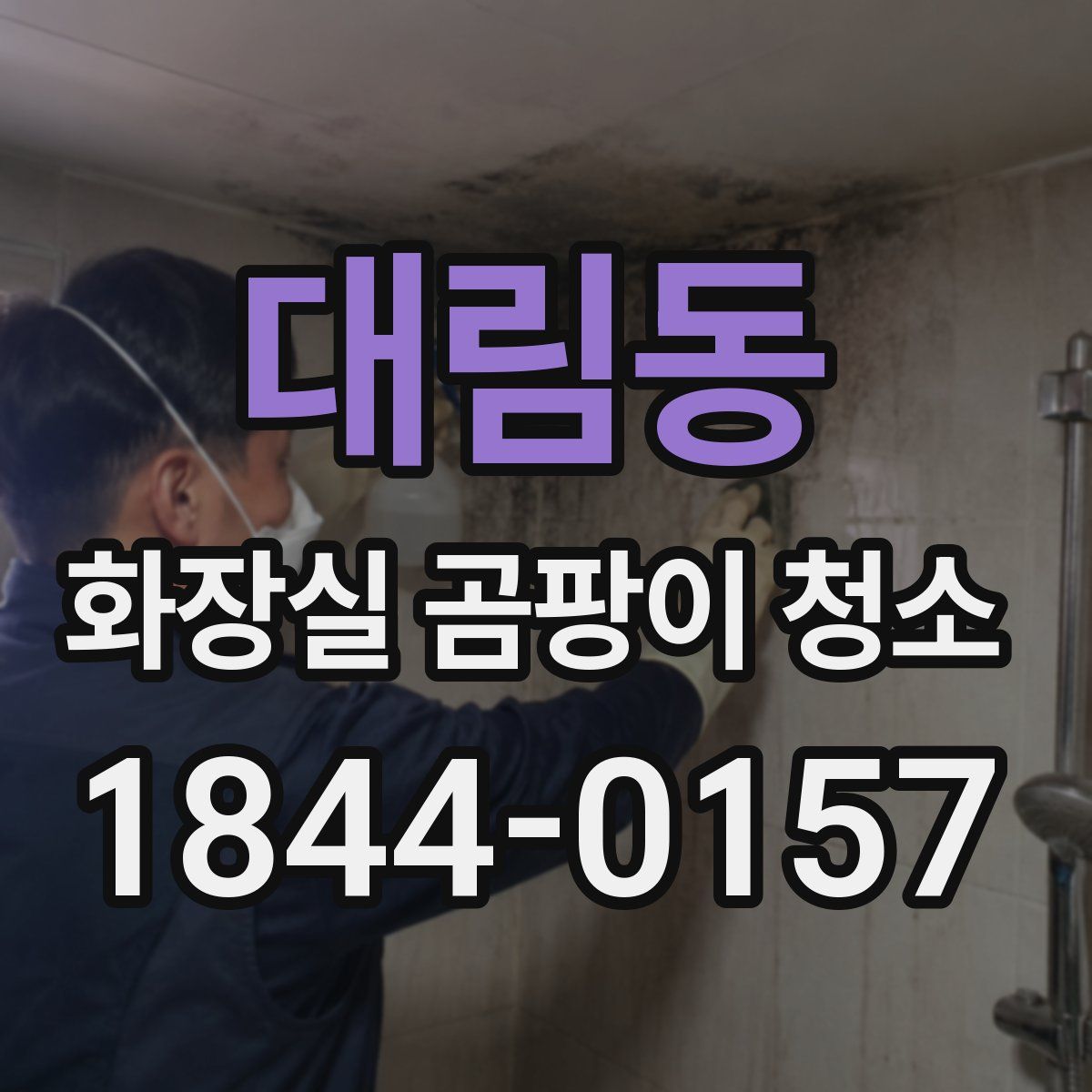 대림동 화장실 곰팡이 청소