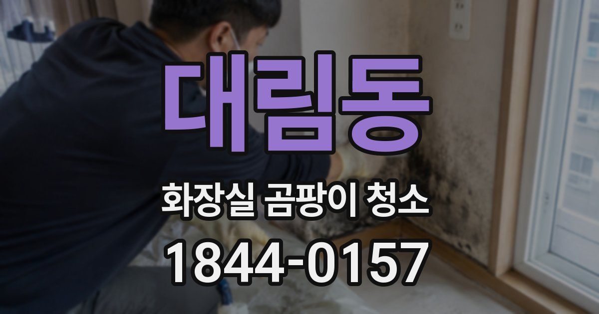대림동 화장실 곰팡이 청소