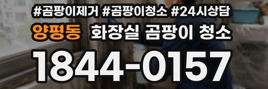 양평동 화장실 곰팡이 청소