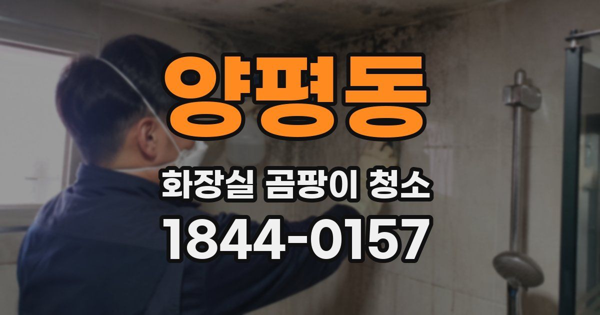 양평동 화장실 곰팡이 청소