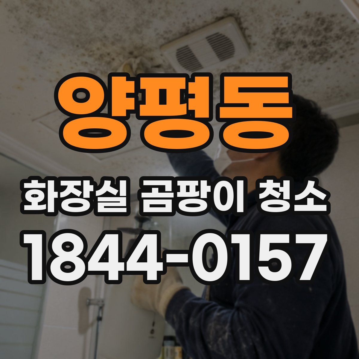 양평동 화장실 곰팡이 청소