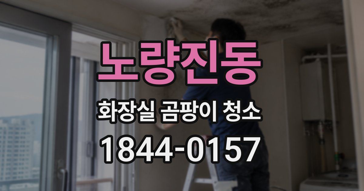 노량진동 화장실 곰팡이 청소