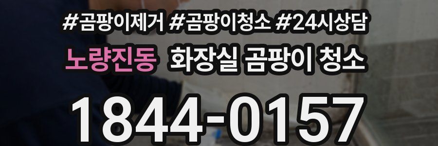 노량진동 화장실 곰팡이 청소