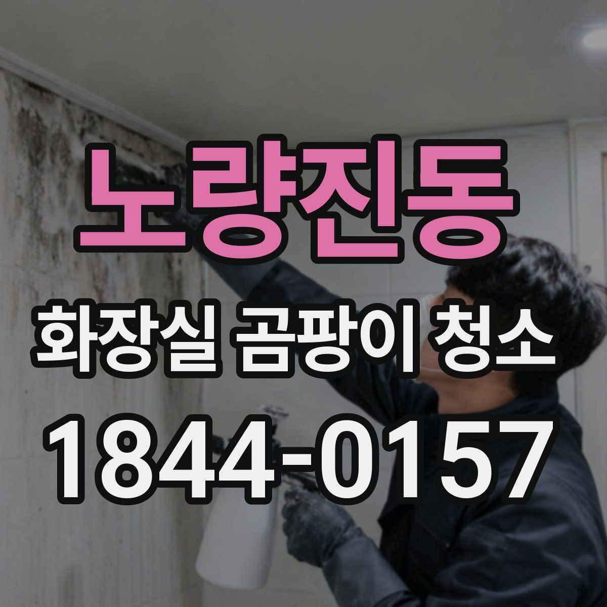 노량진동 화장실 곰팡이 청소