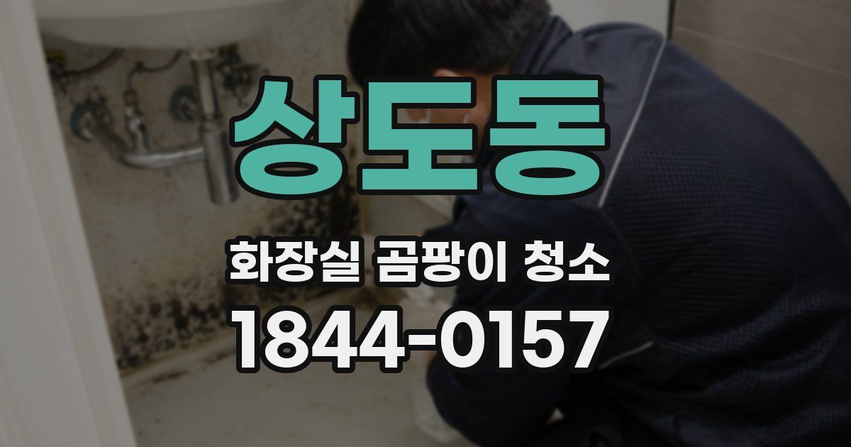 상도동 화장실 곰팡이 청소