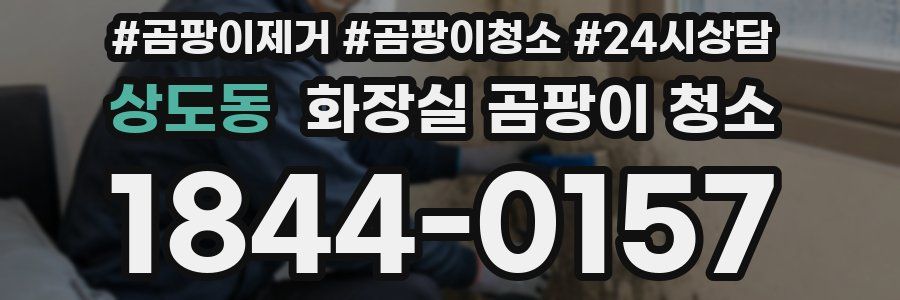 상도동 화장실 곰팡이 청소