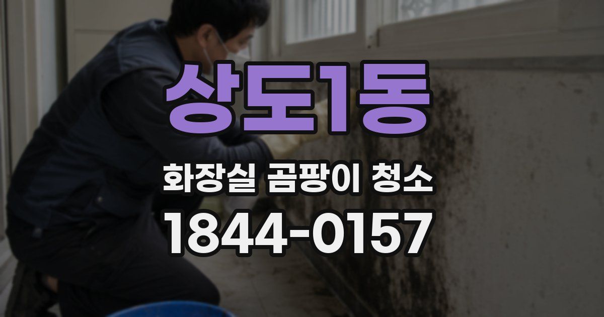 상도1동 화장실 곰팡이 청소
