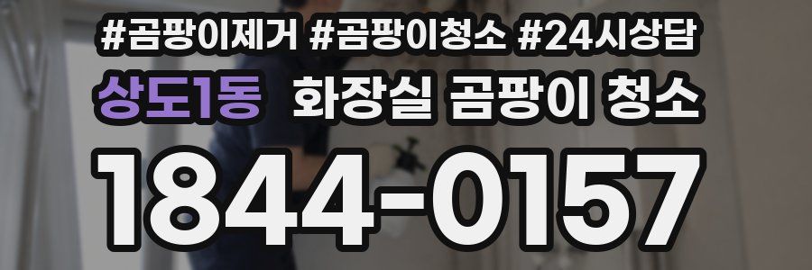 상도1동 화장실 곰팡이 청소
