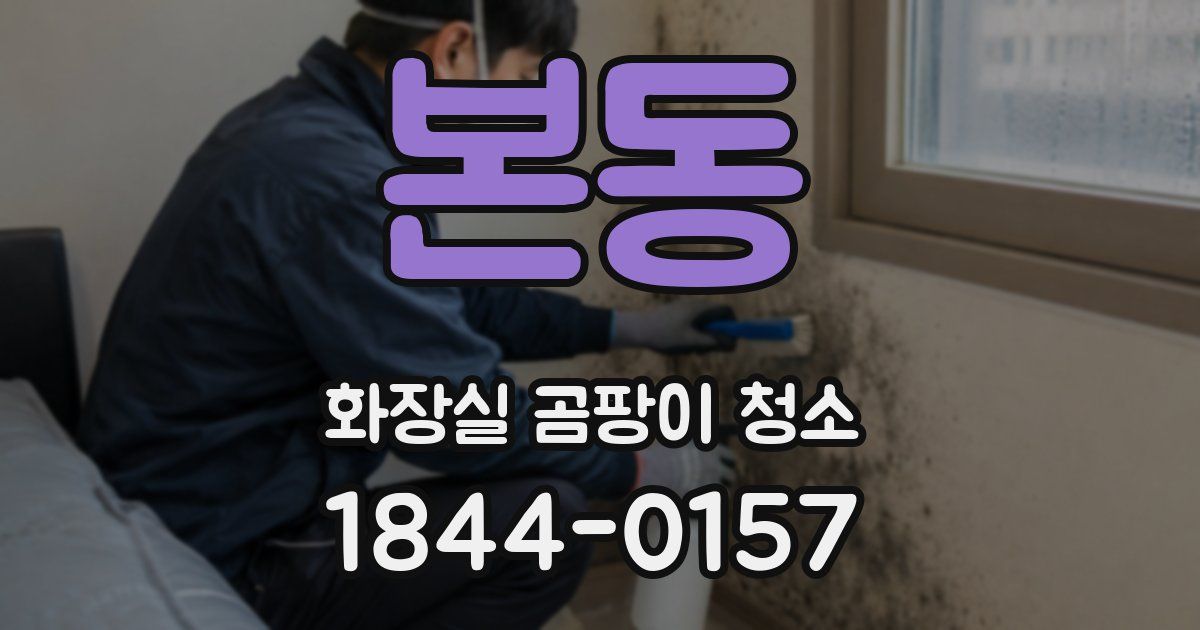 본동 화장실 곰팡이 청소