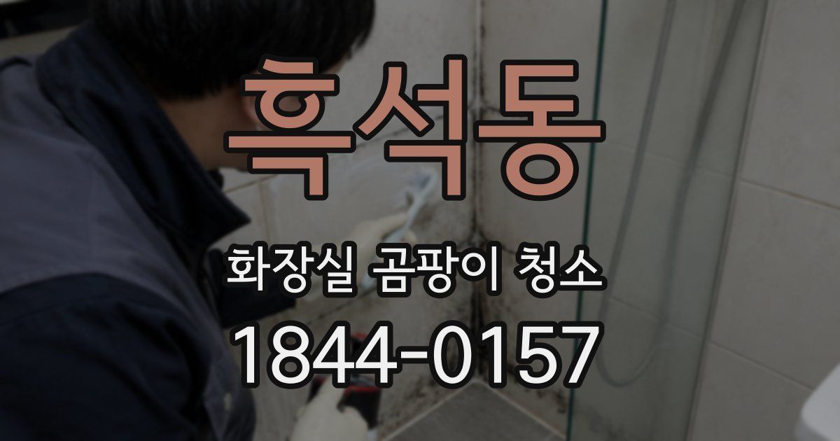 흑석동 화장실 곰팡이 청소