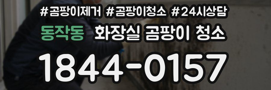 동작동 화장실 곰팡이 청소