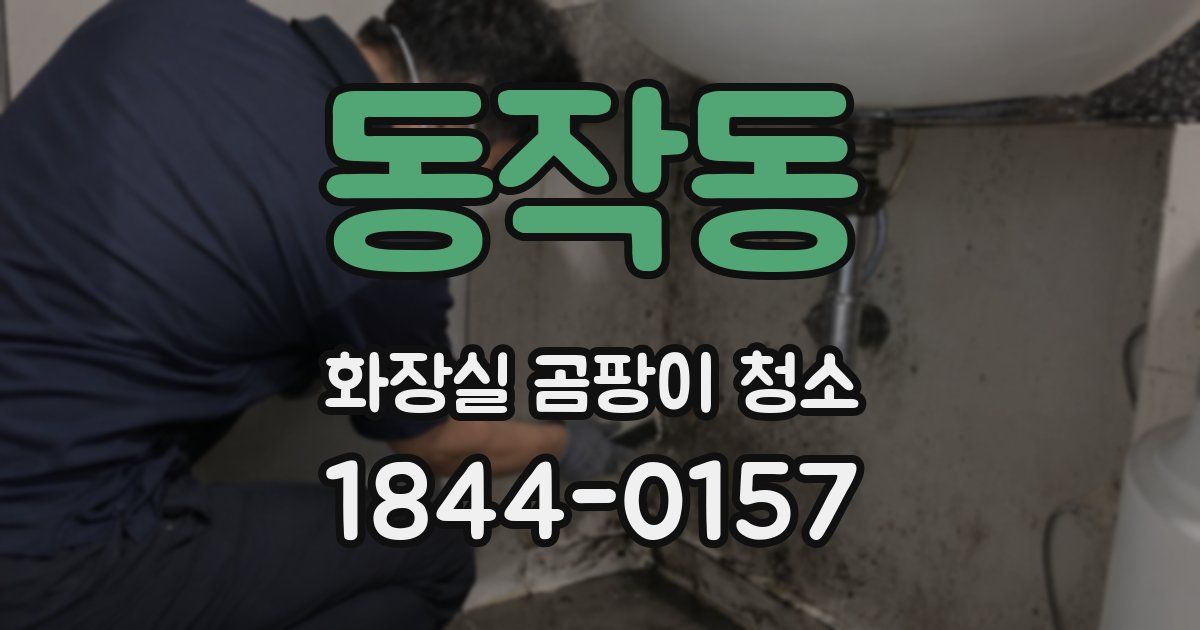동작동 화장실 곰팡이 청소