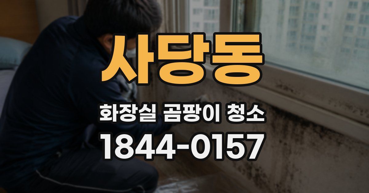 사당동 화장실 곰팡이 청소