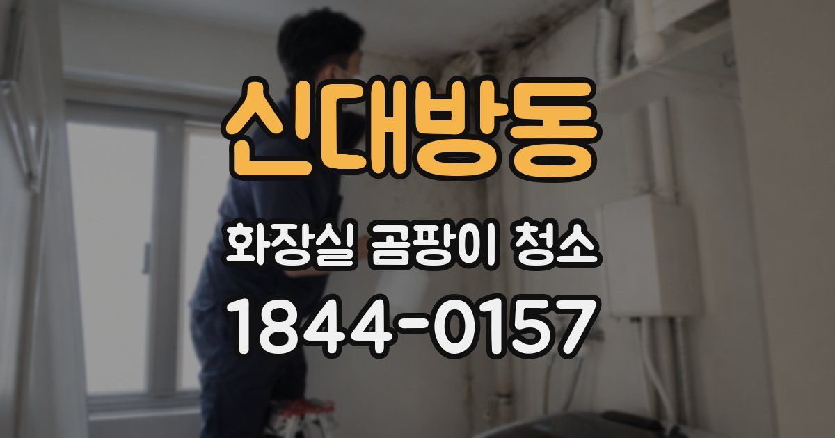 신대방동 화장실 곰팡이 청소