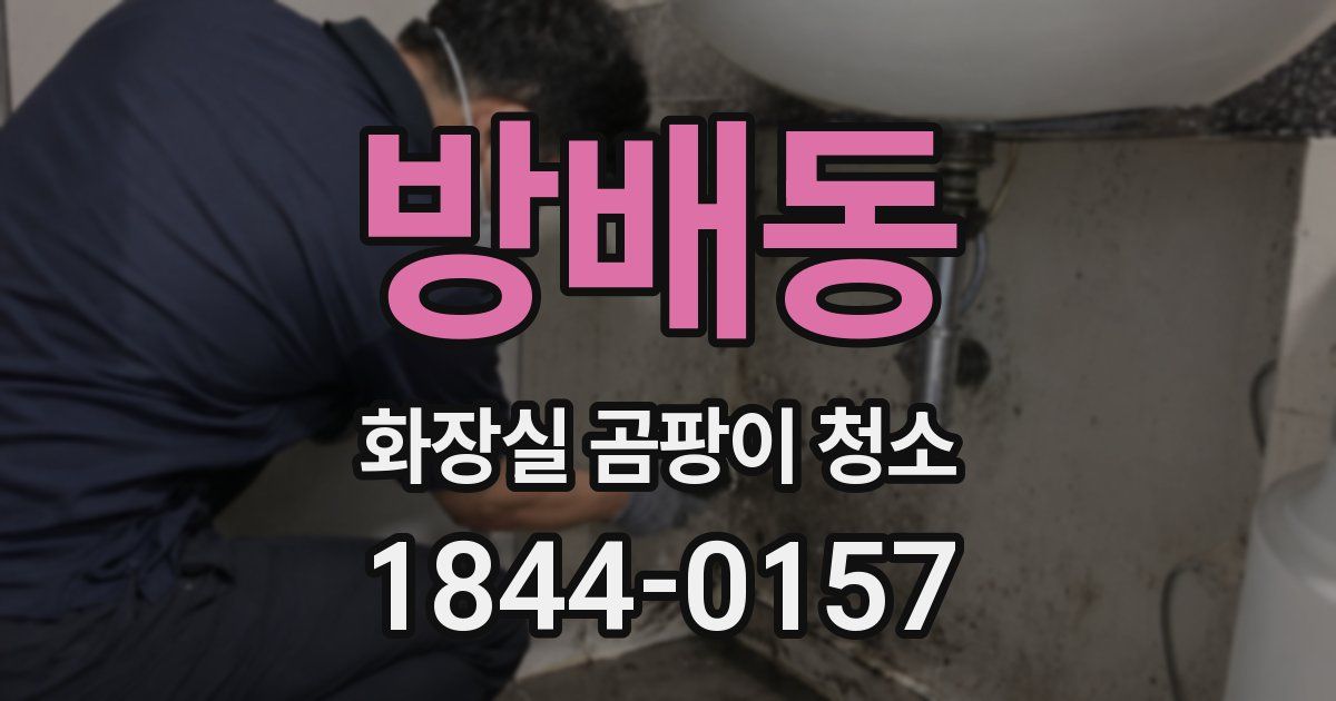 방배동 화장실 곰팡이 청소