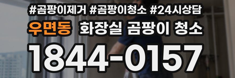 우면동 화장실 곰팡이 청소