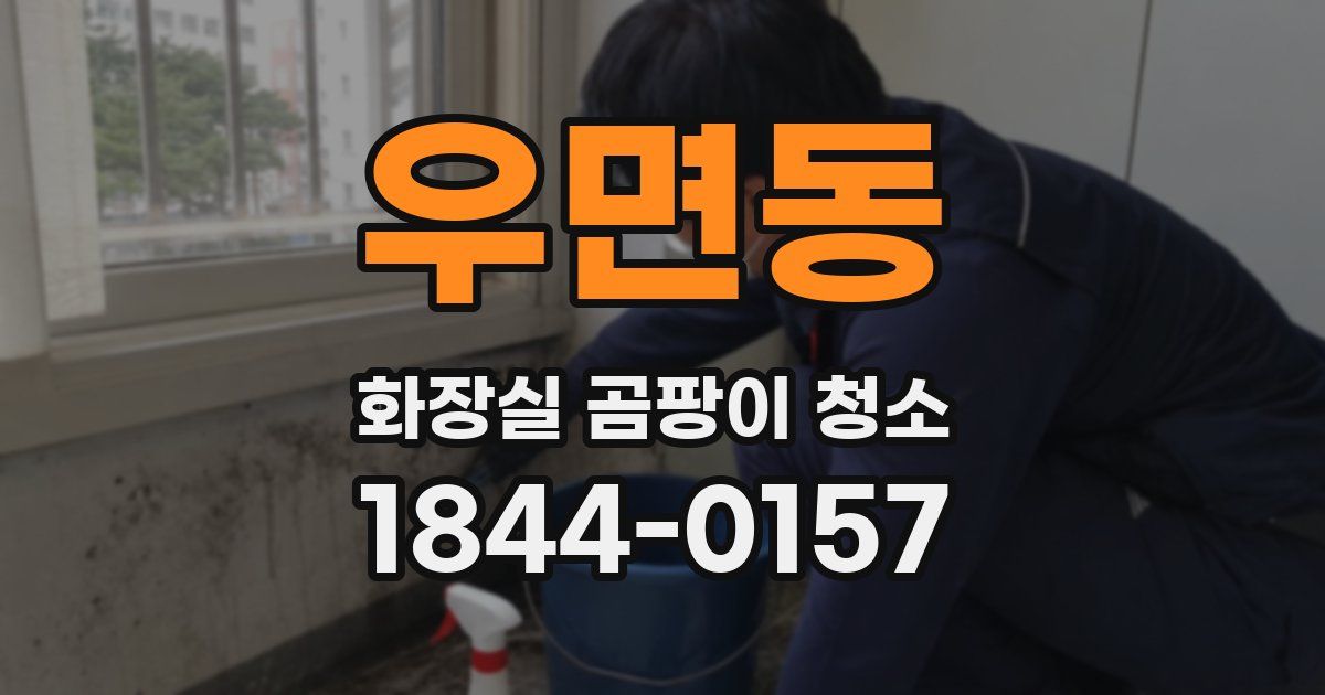 우면동 화장실 곰팡이 청소