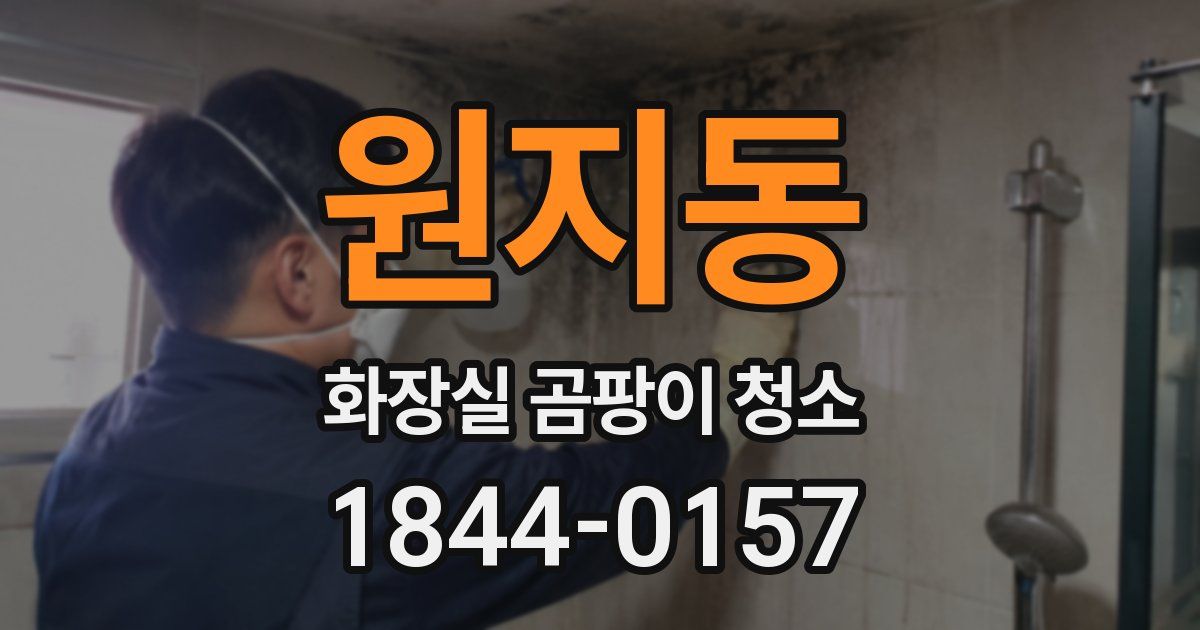원지동 화장실 곰팡이 청소
