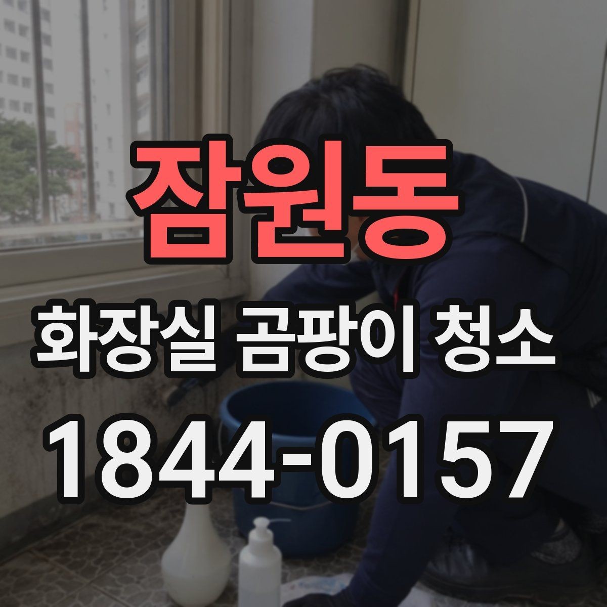 잠원동 화장실 곰팡이 청소 변기 테두리의 얼룩 원인부터 보는 방법