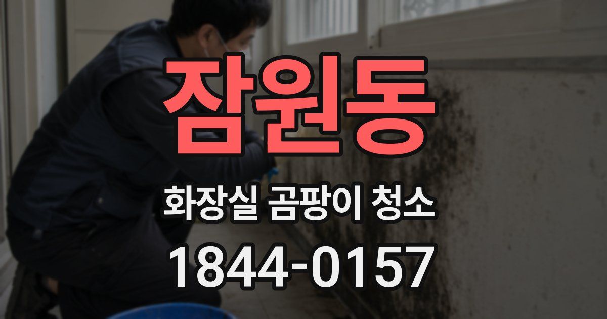잠원동 화장실 곰팡이 청소
