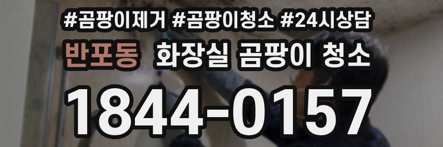 반포동 화장실 곰팡이 청소