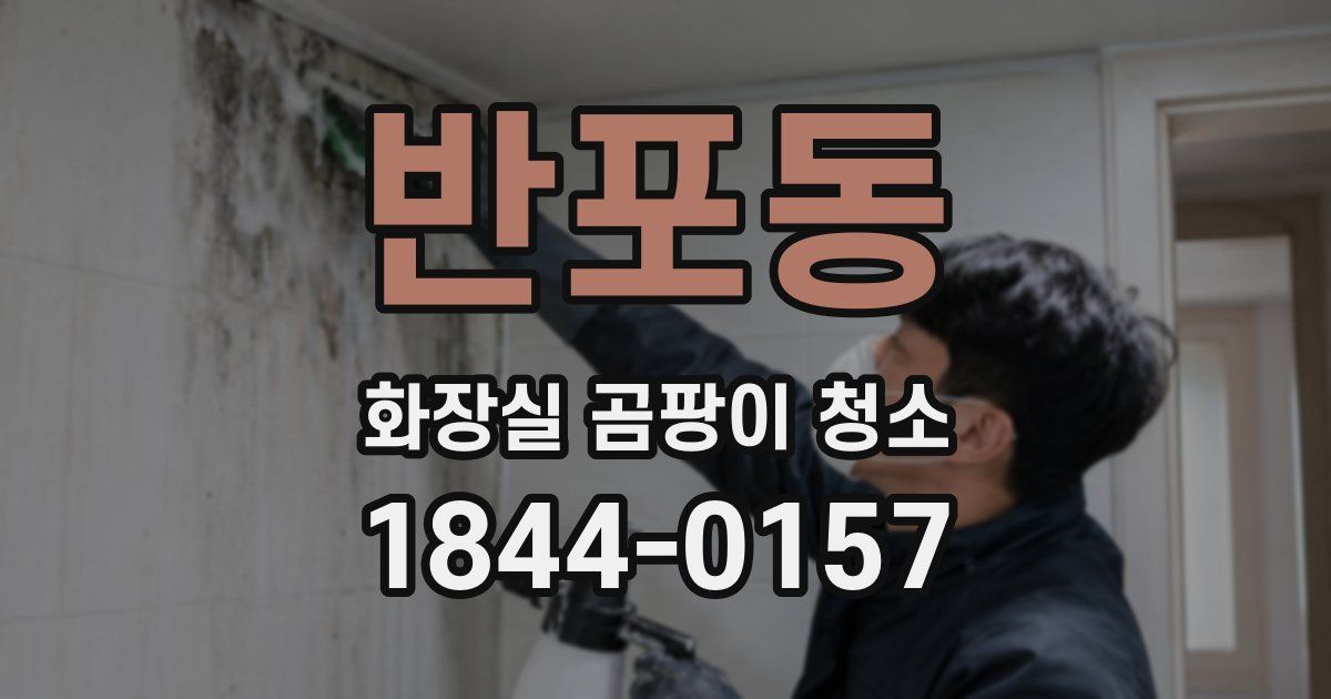 반포동 화장실 곰팡이 청소