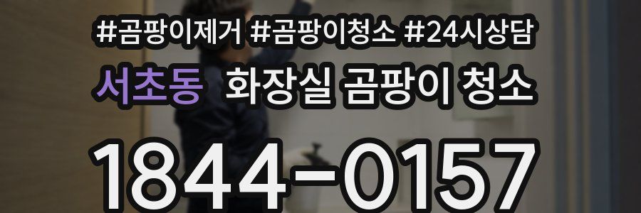 서초동 화장실 곰팡이 청소