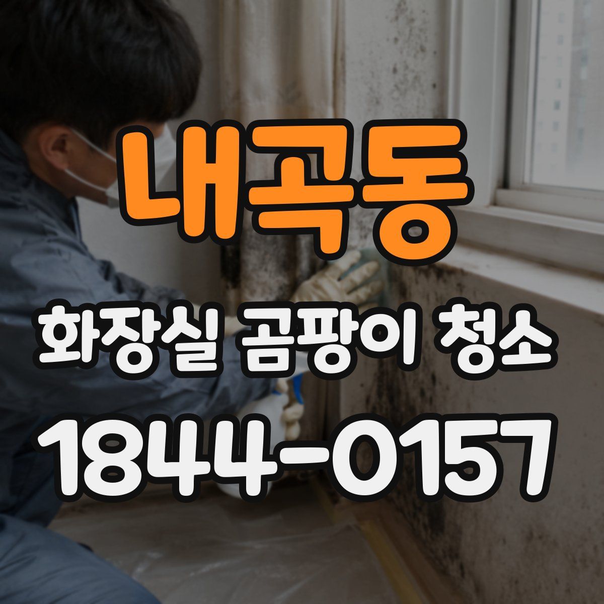 내곡동 화장실 곰팡이 청소