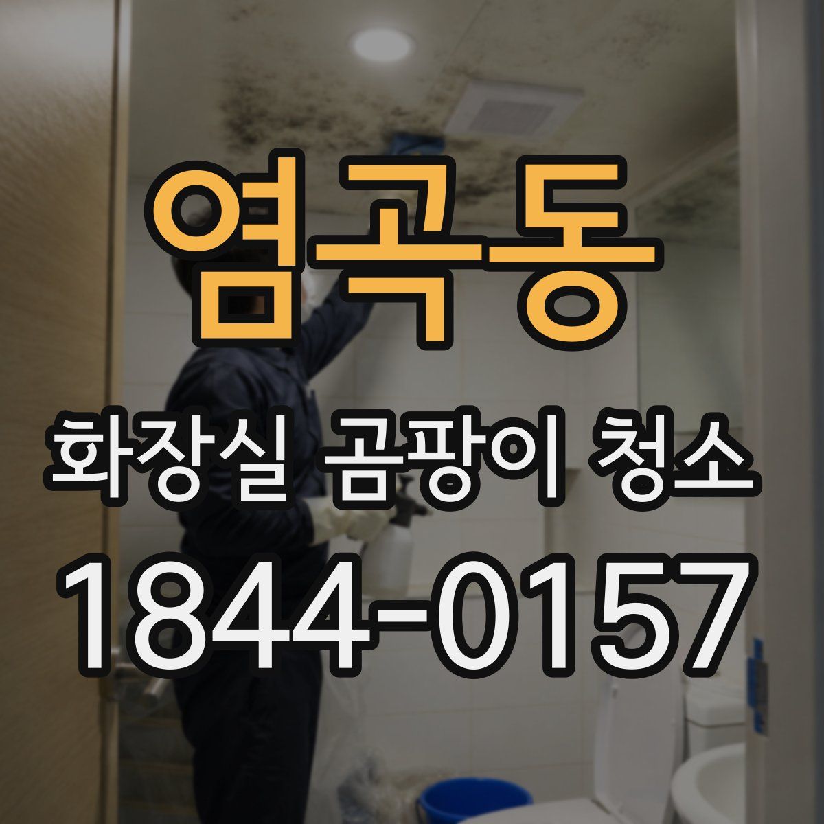 염곡동 화장실 곰팡이 청소