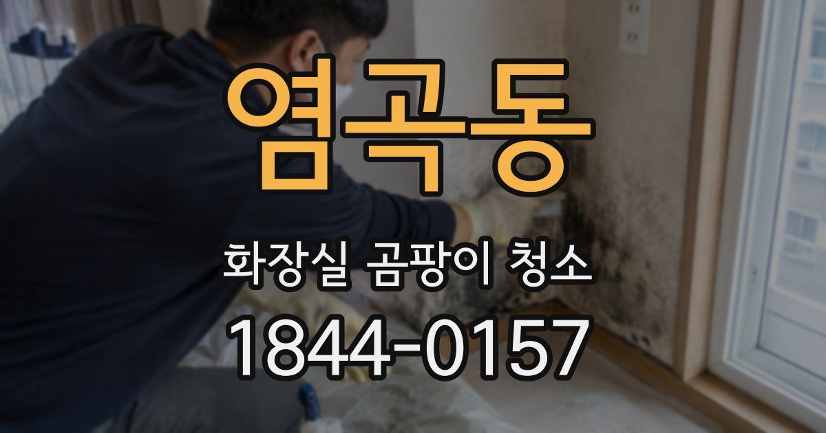 염곡동 화장실 곰팡이 청소