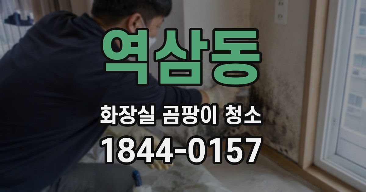 역삼동 화장실 곰팡이 청소
