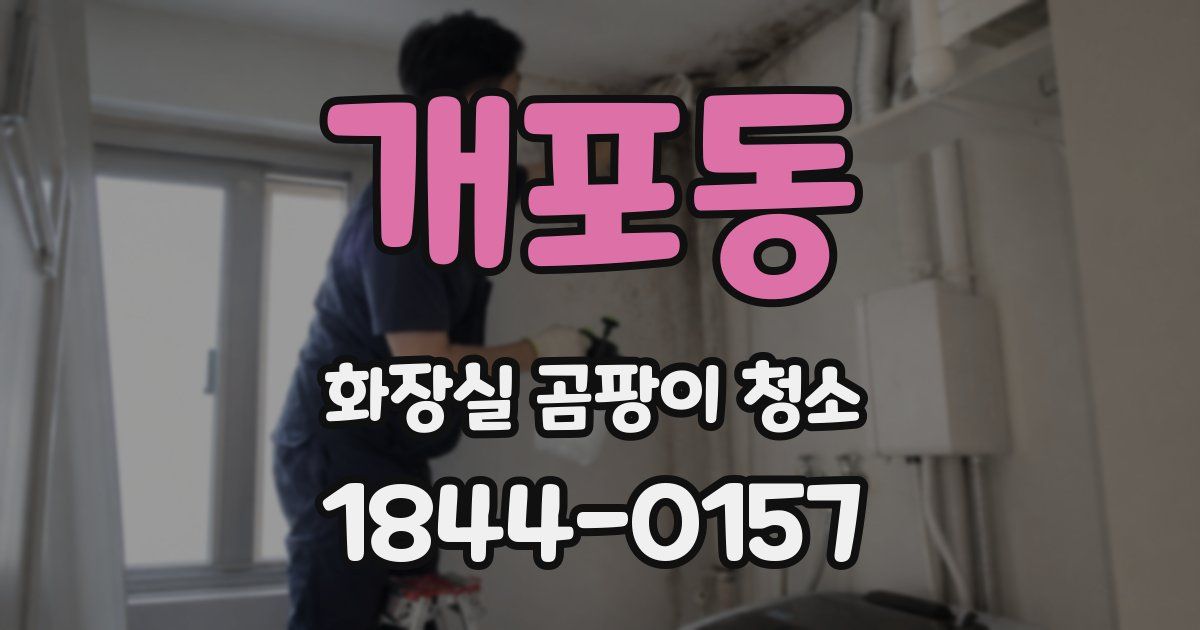 개포동 화장실 곰팡이 청소