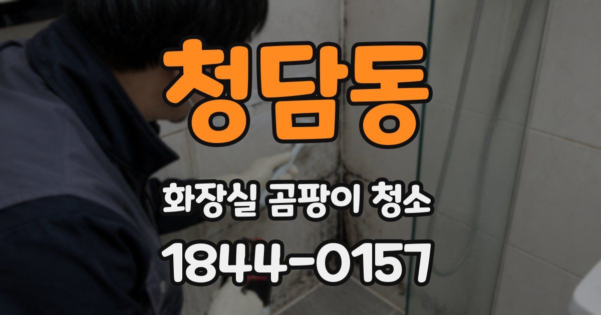 청담동 화장실 곰팡이 청소