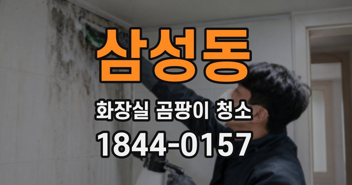 삼성동 화장실 곰팡이 청소