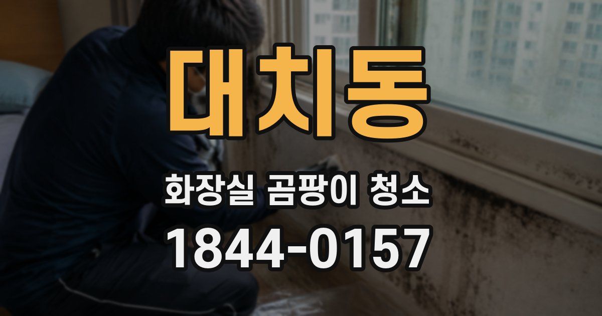 대치동 화장실 곰팡이 청소